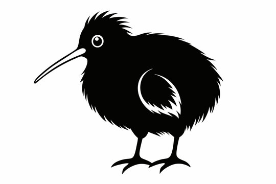 recommend clip art: kiwi bird line art silhouette vector illustration