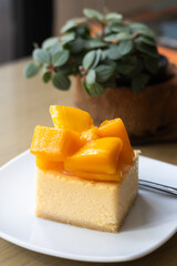 mango cheese cake with fresh mango on white plate