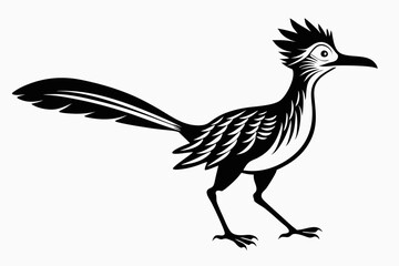 vector illustration of a bird