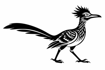 roadrunner line art silhouette vector illustration