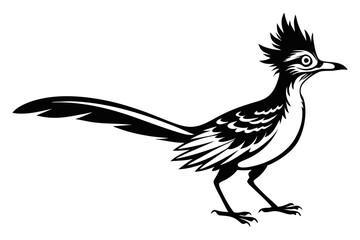 roadrunner line art silhouette vector illustration