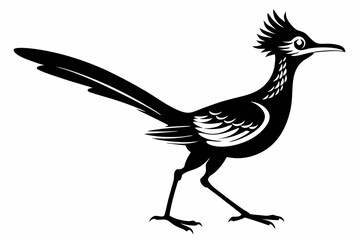 roadrunner line art silhouette vector illustration