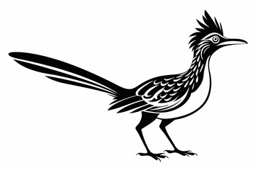 roadrunner line art silhouette vector illustration