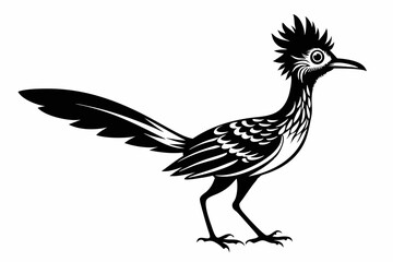 roadrunner line art silhouette vector illustration