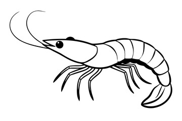 shrimp line art silhouette vector illustration