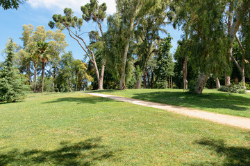 City park ideal for advertising, editorial and web design projects. Perfect for communicating relaxation, nature and well-being.