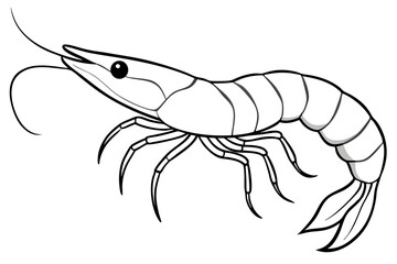 shrimp line art silhouette vector illustration
