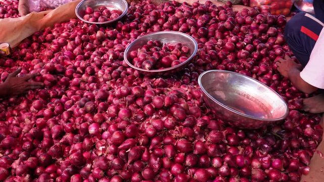 The persons are putting the onions in a steel tub after cleaning those