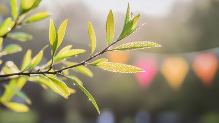 Dew-covered willow branch with green leaves, traditional Qingming kites in background, symbolizing renewal and tradition.