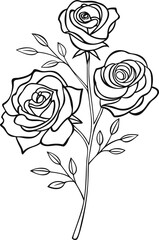 rose vector illustration