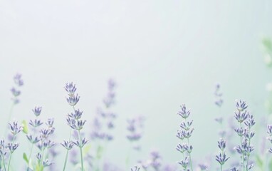 Naklejka premium A soft lavender to pale green gradient background. Featuring light lavender tones, soft green hues, and hints of white. Emphasizing tranquility and renewal. Ideal for nature or wellness visuals
