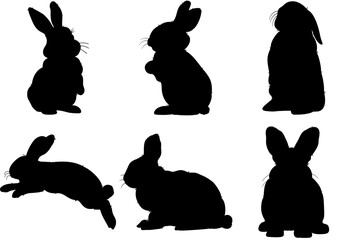 Easter Bunny Set, cute rabbit decorations, suitable for various events, making logos, backgrounds or decorating backgrounds.