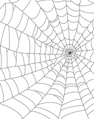 Obraz premium Real spider web vector line art