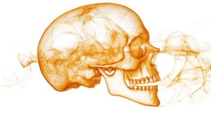 golden human skull transparent on white background