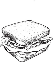sandwich on a white