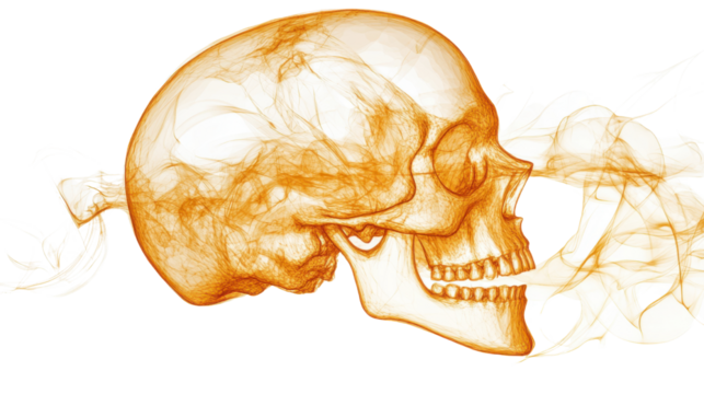 golden human skull transparent on white background