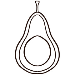 isolated avocado vector illustration on white background