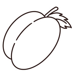 vector illustration of a plum
