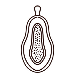 Papaya illustration for kids
