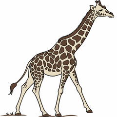 Naklejka premium giraffe isolated on white