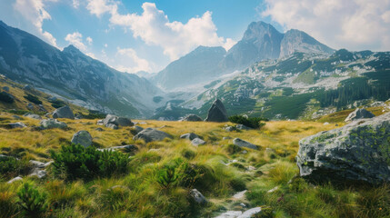 mountain landscape in national park