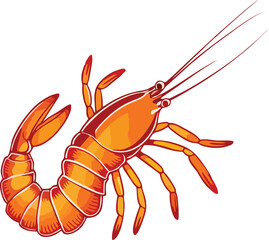 shrimp vector mascot illustration white background
