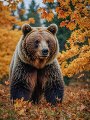 Fototapeta premium Fall season, autumn-themed bear, plants, leaves, and food.