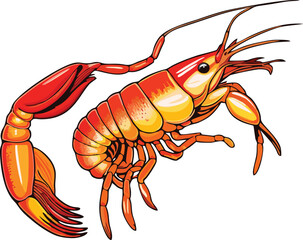 shrimp vector mascot illustration white background