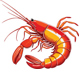 shrimp vector mascot illustration white background