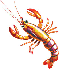 shrimp vector mascot illustration white background