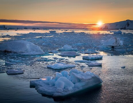 Icebergs floating in the ocean at sunset in antarctica - Powered by Adobe