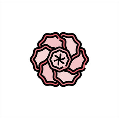 pink rose isolated on white