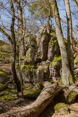 rocks in the sun, on a mountain with moss covered stones and fallen trees. Rocky terrain, Czech Republic, spring