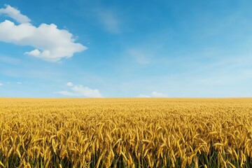 Naklejka premium Wheat Field Under a Bright Blue Sky with Cloud Agriculture Concept