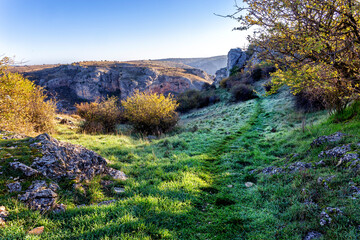 Sendero sobre la hierba