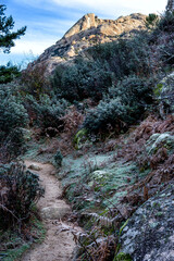 Obraz premium Sendero entre arbustos con escarcha hacia el risco de Peña Sirio