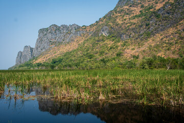 The Bueng Bua Boardwalk is over one kilometre long, and stretches over the Thung Sam Roi Yot marsh....