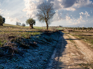 Camino en el campo y casa de labranza
