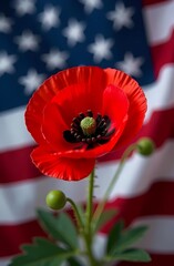 Memorial Day Concept. A national holiday in the United States, observed on the last Monday in May. A memorial poppy flower on the American flag in honor of Memorial Day and Veterans Day in the United 