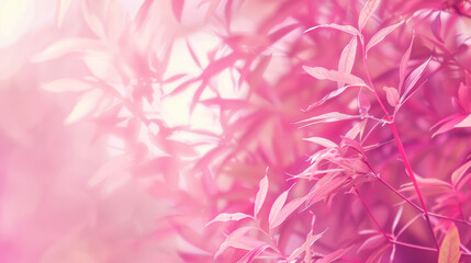 Fototapeta premium pink flower background