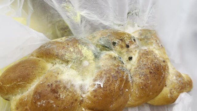 Spreading of fungal spores on bread bun surface, toxic mildew covering product because of unhygienic storage conditions and high humidity, toxic food mold concept