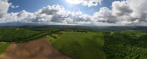 Aerial view of a green valley with agricultural plantations and dense clouds