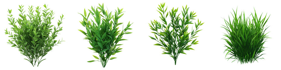 Fototapeta premium A collection of vibrant healthy plants and greenery showcasing the diversity and beauty of natural vegetation