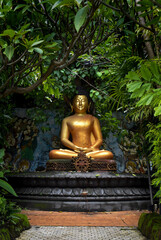 golden buddha statue