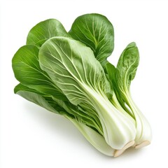 Fresh Bok Choy Vegetable Bunch on White Backdrop for Healthy Eating and Cuisine Versatility