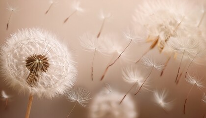 Generated image  A tranquil and minimalist dandelion fluff background in a vertical format, featuring soft 
