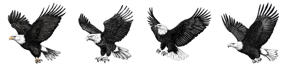 Obraz premium A series of dynamic depicting the powerful and graceful movement of bald eagles as they soar through the sky showcasing their natural beauty and fierce elegance