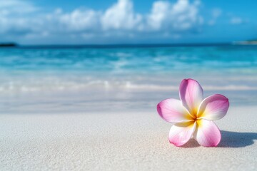 Fototapeta premium A stunning pink flower gracefully lies on the sandy beach, perfectly framed by turquoise waves and a bright sky.