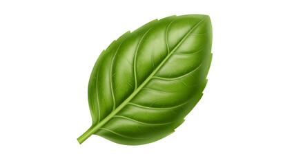 Obraz premium fresh green basil leaf isolated on a transparent background. generative ai