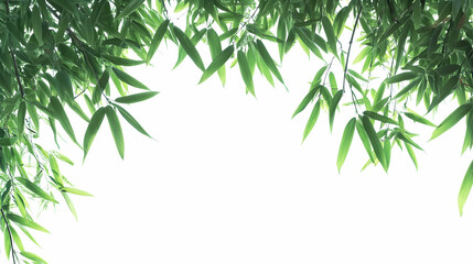 Captivating Bamboo Foliage Frame against a Bright Field in a Serene Arrangement